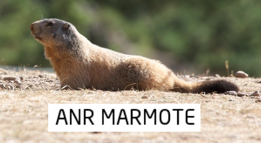 ANR Marmote